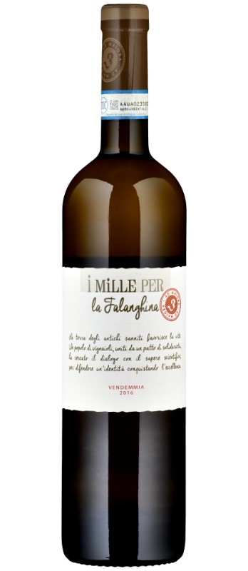 Falanghina del Sannio DOP 
I Mille per la Falanghina