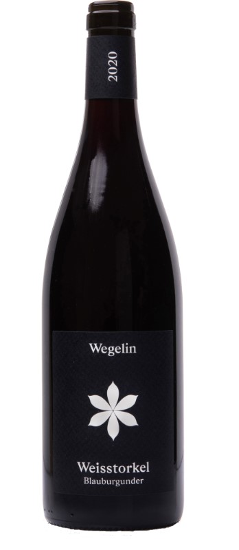 Malanser Blauburgunder Weisstorkel
AOC Graubünden  BIO 