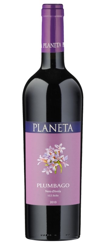 Plumbago Nero d'Avola Sicilia DOC
BIO