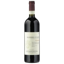 Barbera d'Alba Vignota DOC
BIO 