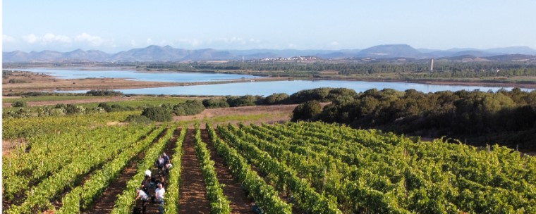 Cantina Di Calasetta