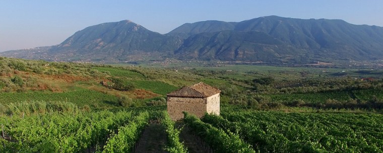 Janare - La Guardiense