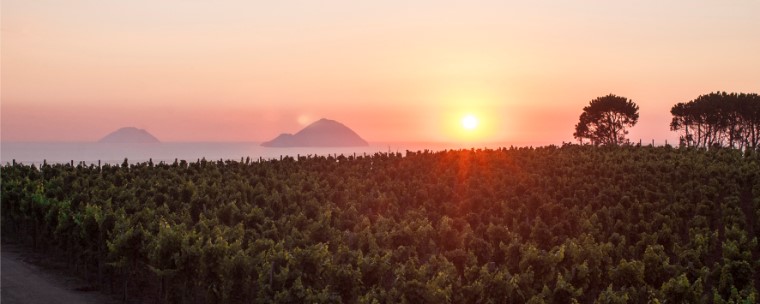 Tenuta Di Castellaro